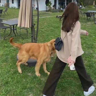 奥黛丽赫本传